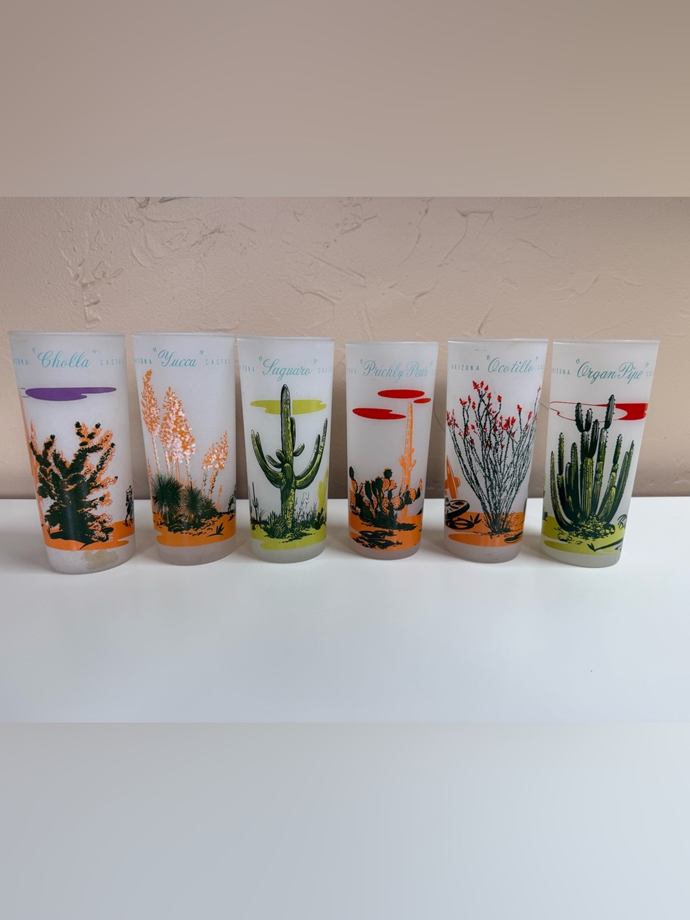 Vintage Blakely Oil & Gas Desert Cactus Frosted Glass Tumblers (6)